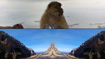 Nick Cave - Rock of Gibraltar (HD)