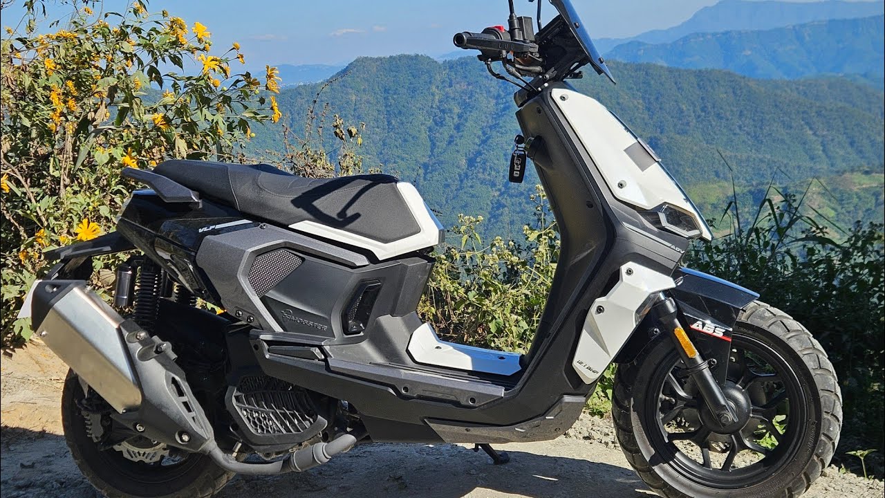 Morning Walk : VLF Mobster 135