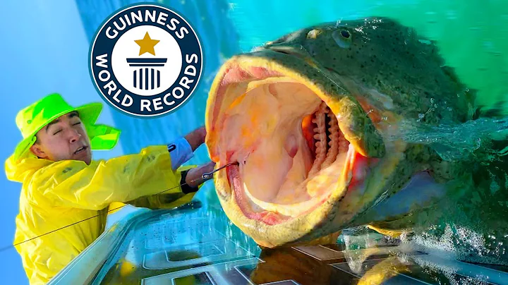 (NEW) World's LARGEST FISH - Can You Catch It?