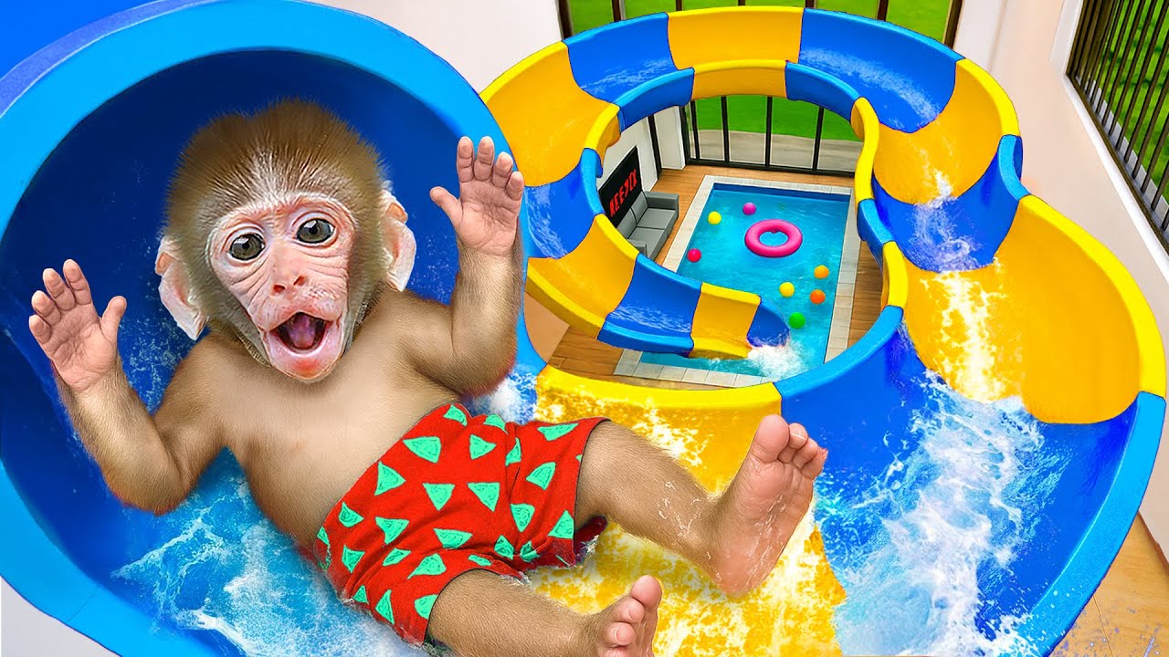 KIKI Monkey Challenges the Water Slides & has fun with Ducklings in Swimming Pool | KUDO ANIMAL KIKI