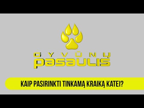 Gyvūnų pasaulis: kaip pasirinkti tinkamą kraiką katei?