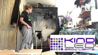 Cannabis Cultivate - Shut down and clean up for the First Ever Grow Strong Industries GrowOff  #tnb