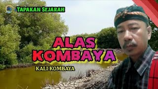 Hati2 jika lewat tempat ini || Alas Kombaya masih Sungil !! Cantigi - Indramayu [ Alas Lor Jawa ]