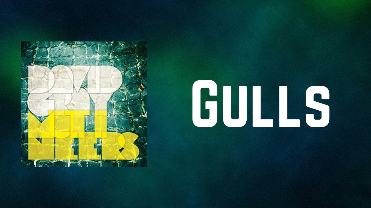 David Gray - Gulls (Lyrics)