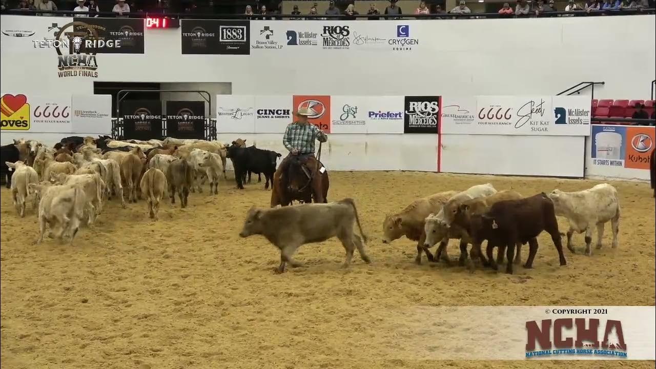 NCHA World Finals BAMA JELLY shown by AUSTIN SHEPARD YouTube