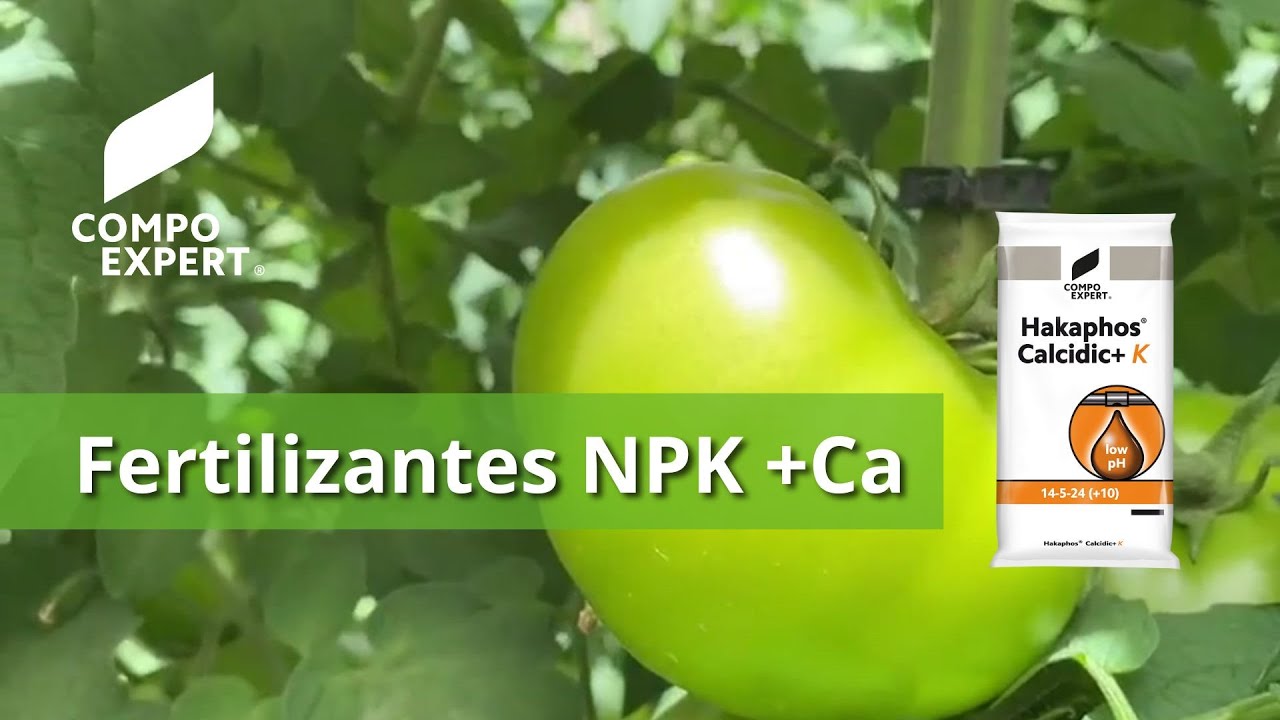 Fertilizantes NPK con calcio y micronutrientes - Hakaphos® Calcidic+ K