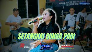 Setangkai Bunga Padi || Om. Ramayana || Jagad Pro Audio || TSV Media HD
