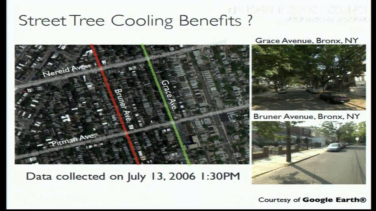 Urban Forestry 12: Urban Climate & Urban Forests: A View from New York