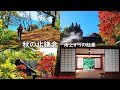 【4K】秋の北鎌倉 雨上がりの紅葉（字幕をオンにして見て下さい）