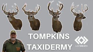 Building a Taxidermy Business From the Ground Up: Tompkins Taxidermy