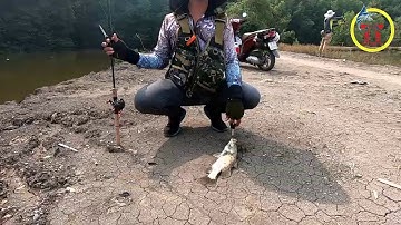 Đi lure cá chẽm trúng ổ cá ăn liên tục gỡ không kịp