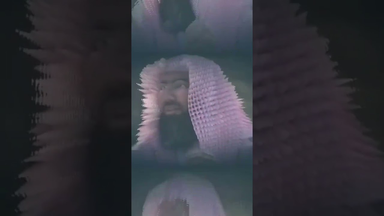 نبيل العوضي خريج مدرسة سيد قطب