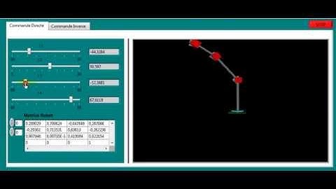 Robot ( direct kinematic Labview )