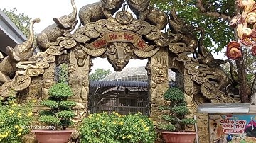 vương quốc cá sấu | suối tiên