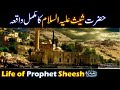 Hazrat Sheesh As ka Waqia | Life of Prophet Sheesh | Sheesh Story Urdu | Qasas ul Anbiya | Episode 2