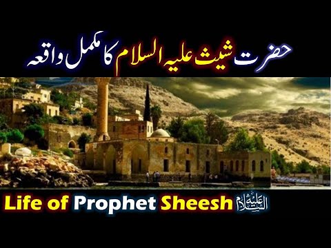 Hazrat Sheesh As Ka Waqia Life Of Prophet Sheesh Sheesh Story Urdu Qasas Ul Anbiya Episode 2