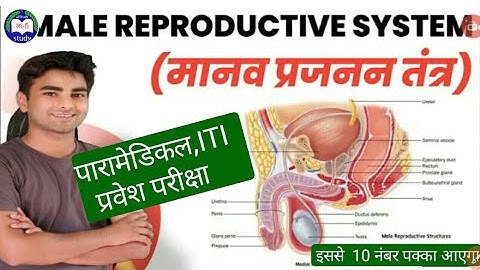 Bihar Paramedical Biology VVI Question Series