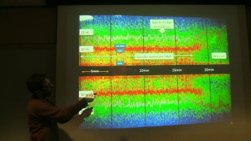 EEG training finalfinal