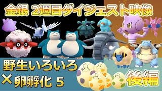 金銀ポケモンGO ドンファン、フォレトス、メリープ、エアームド他&卵5個孵化 【2週目ダイジェスト映像後編】 金銀ポケモンGO ドンファン、フォレトス、メリープ、エアームド他&卵5個孵化 【2週目ダイジェスト映像後編】