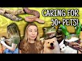 My daily routine with 50 pets vlog style