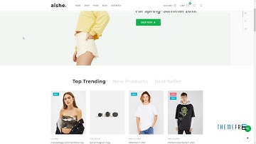 Aishe - Multipurpose WooCommerce Theme      Irnerius Terrell