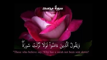 سورة محمد page 509 {القارئ أحمد العجمي}