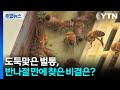 도둑맞은 벌통, 반나절 만에 찾은 비결은? / YTN