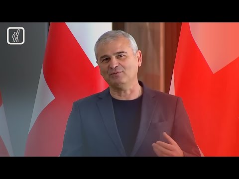 სამუშაო ჯგუფების შექმნის პერსპექტივა 9 დათქმის შესასრულებლად