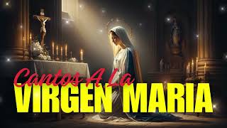 Melodías celestiales: Himnos y alabanzas a la Virgen María, Madre de Dios