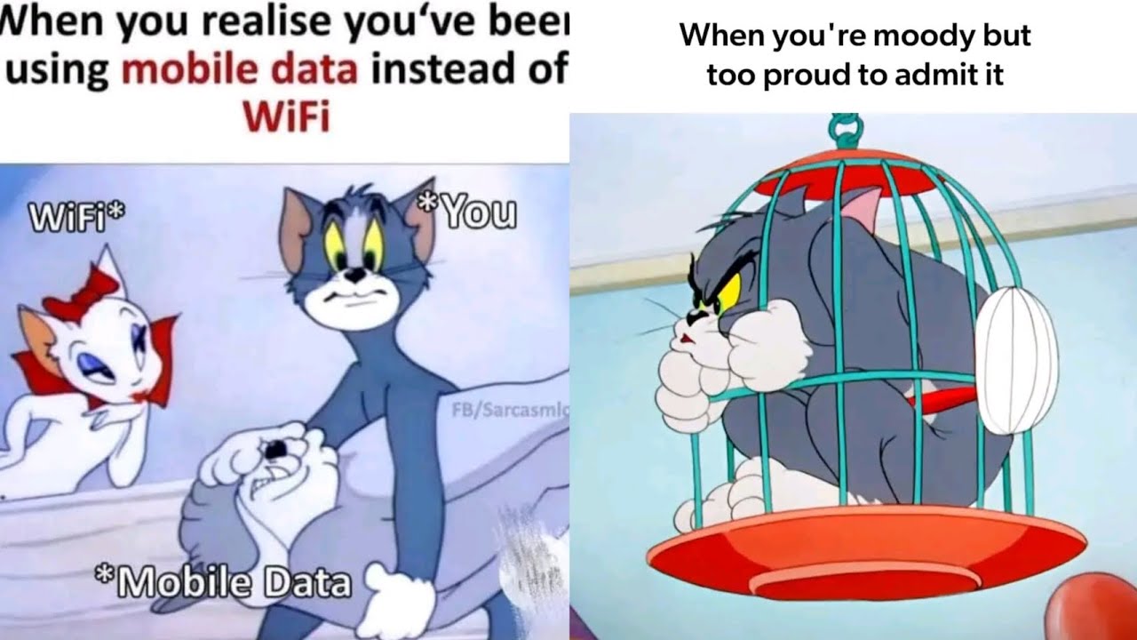 Tom and Jerry meme | Legend Meme | Only legend will understand | English | Meme saver | MS | Part 03