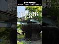 驚きの鉄道遺産がここに！２００４年の福井豪雨で流された鉄道橋脚が保存されていました - JR九頭竜線こと、越美北線 途中下車の旅