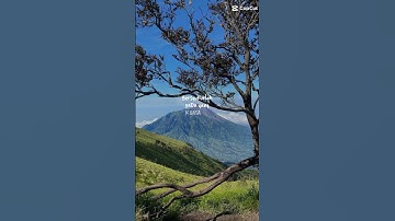 Thumbnail of lagunya enak buat menyendiri🙃#fypp#lagu#edit#masukberanda