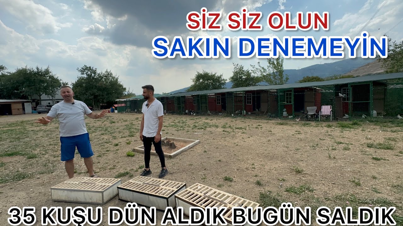 SAKIN DENEMEYİN GECE ALDIĞIMIZ 35 DÖNEK GÜVERCİNİ OLDUĞU GİBİ UÇURDUK