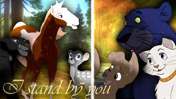 Stand by you II Dedication MEP Part for Fulcrum Stardust [Part 19]