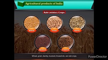 Class 10 Social Studies Chapter 10 India Agriculture