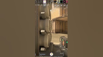 Zeus on A plant Mirage 02 03 24