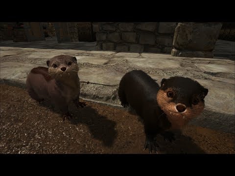 Ark Survival Evolved Ragnarok Live 生存日常s1e16 馴服水獺 Otter Taming Youtube Ark Survival Evolved Ragnarok Live 生存日常s1e16 馴服水獺 Otter Taming Youtube