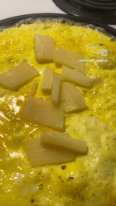 first-meal-of-the-day-and-egg-whites-for-dog-youtube