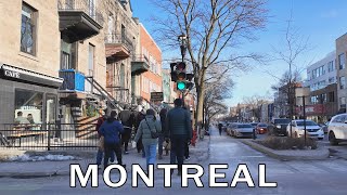 Montreal, Quebec - Rue Saint-Denis Walk 2.3 km - Winter 2024