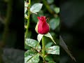 芯片战争 EP01 文明的本质