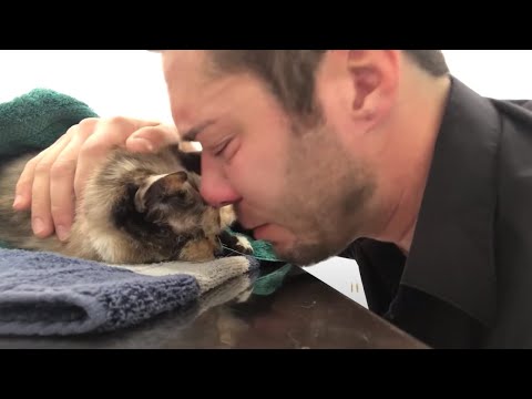 Видео: Ветеран находит родственного духа через домашних животных и ветеринаров