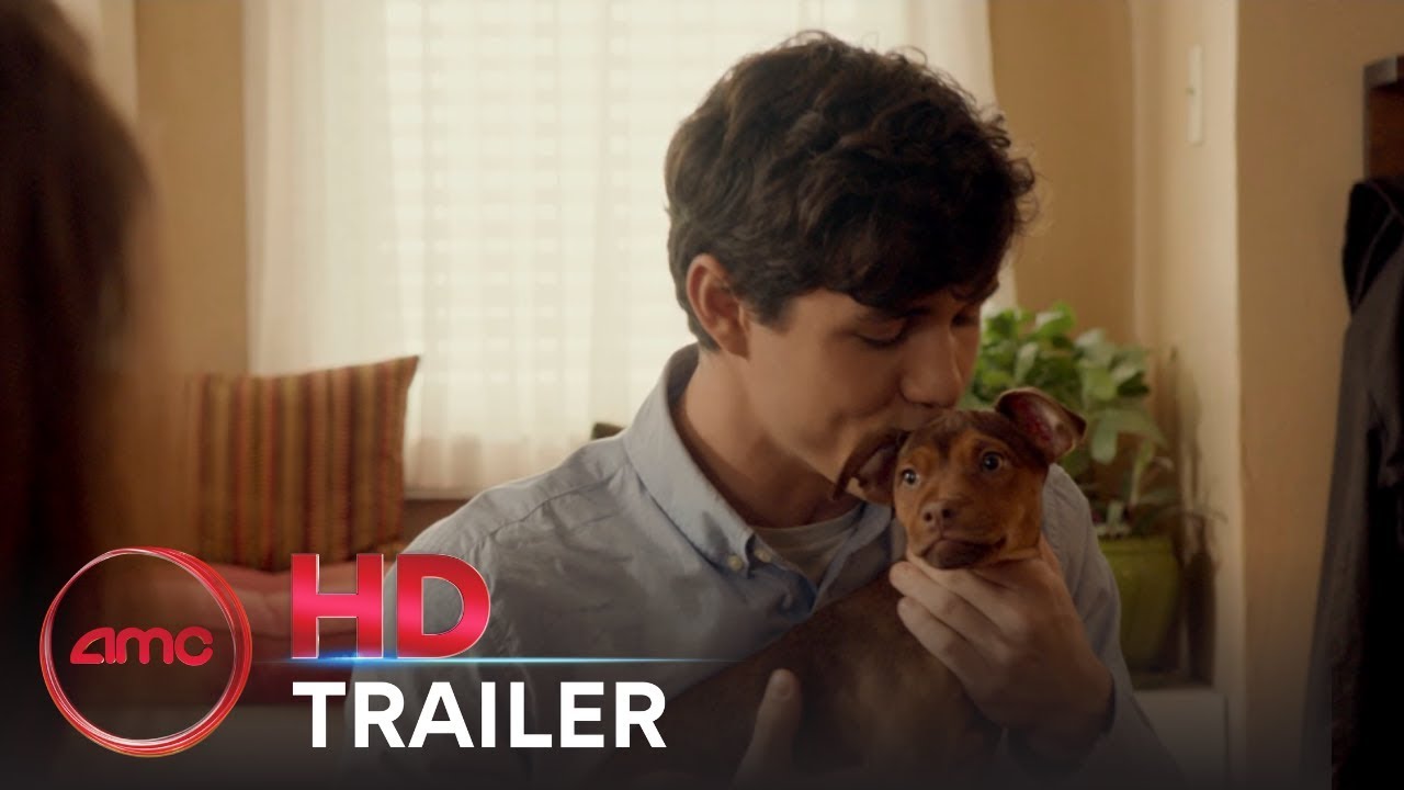 A Dog S Way Home Official Trailer Bryce Dallas Howard Ashley Judd Amc Theatres 2019 Youtube