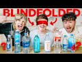 Best Friends Try Blind Water Taste Test! w/ Kian Lawley &amp; Jake Webber