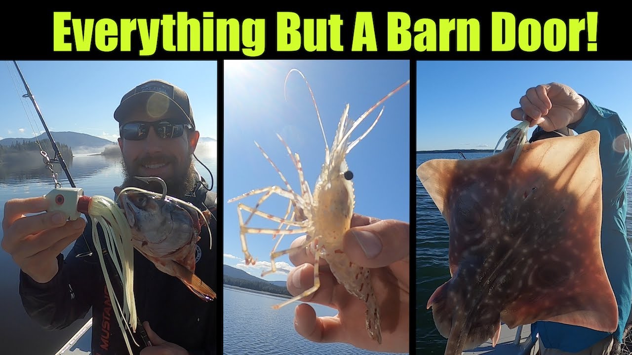 Everything But A Barn Door! Alaskan Halibut Fishing Petersburg