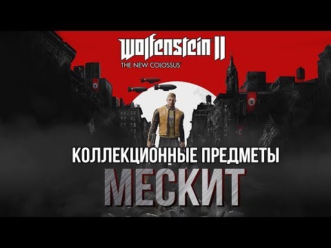 Video: Мескит дарагынын пайдасы: Мескит дарактарынын ар кандай түрлөрүн үйрөнүңүз