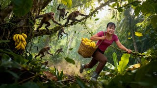 ¡Entramos en la Selva Tropical para Cosechar Plátanos y Nos Atacaron Monos Salvajes! 😱🍌🐒