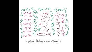 Light Language Blessing: Healthy Kidneys and Adrenals