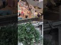 宮崎地震発生!慌てる乗客!エスカレーターは緊急停止!南海トラフ臨時情報発令中#shorts #南海トラフ