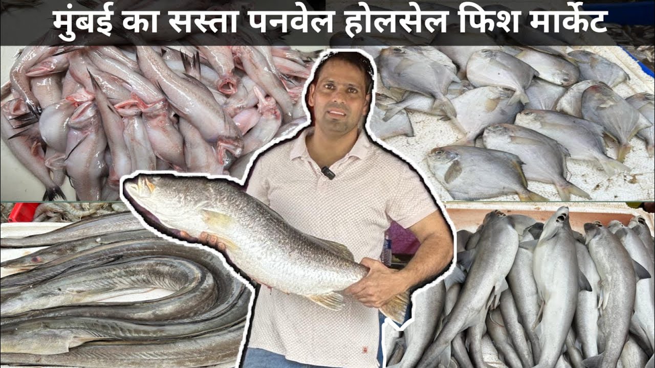 Panvel Fish Market Latest Video | Panvel Machhi Market | Wholesale Fish Market In Navi Mumbai 