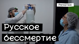 Кто и зачем в России замораживает людей и животных после смерти